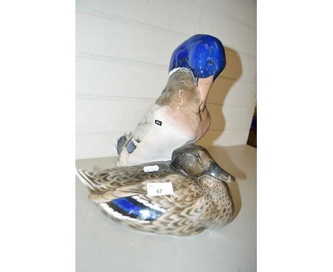 Rosenthal model of a pair of ducks