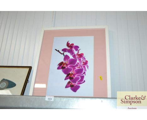 A modern print of an orchid