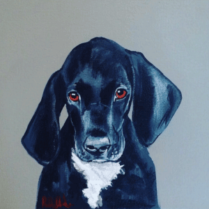 This is a 16” X 16” portrait of your dog of choice on canvas by renowned artist Robert James Clarke. Watch Channel 4’s “Posh 