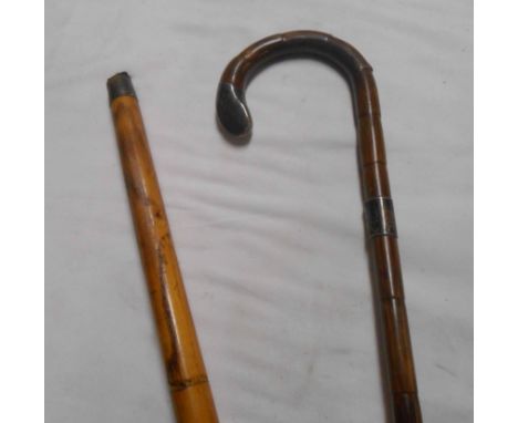 An antique walking cane with silver handle and collar - sold with another walking stick