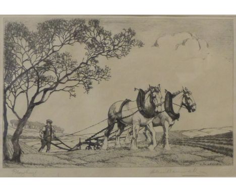A signed Alice Baumwell etching, Ploughing, 18 x 26cms, framed