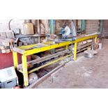 Evolution cut off saw with 5m conveyor