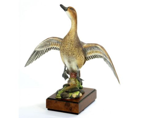 A ROYAL WORCESTER MODEL OF AN AMERICAN PINTAIL MODELLED BY RONALD VAN RUYCKEVELT, 29CM H, PRINTED MARK, WALNUT PLINTH, CIRCA 