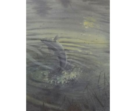 Robin Armstrong, two signed limited edition fish prints and another artist proof print (3). largest 22cm x 36cm