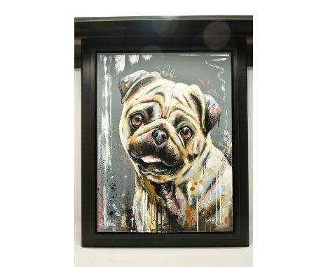SAMANTHA ELLIS (BRITISH 1992) 'PUG LIFE II', a contemporary style portrait of a dog, signed bottom left, oil on canvas, appro