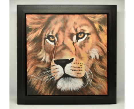 JEN ALLEN (BRITISH 1979) 'PRIDE', a portrait of the face of a lion, signed bottom right, oil on canvas, approximate size 76cm