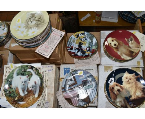 THIRTY FOUR BOXED COLLECTOR'S PLATES, cat themed, comprising six limited edition plates in the Knowles - Amy Brackenbury's Ca