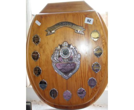 Pine toilet seat with A**hole of the Year award crests for the SWELC Poole area! (pigeon breeding related)