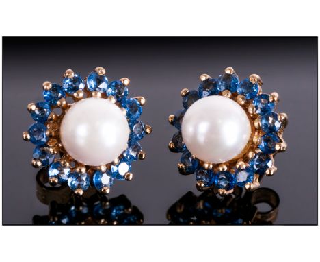 A Ladies Pair of 9ct Gold Sapphire and Pearl Earrings. Flower head Setting, Fully Hallmarked. 