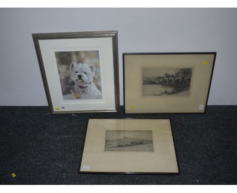 A limited edition coloured print - "Westhighland Malt" - a portrait of a terrier, indistinctly signed in pencil by the artist