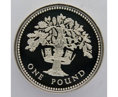 1987 silver proof Piedfort £1 coin. P&amp;P Group 1 (£14+VAT for the first lot and £1+VAT for subsequent lots) 