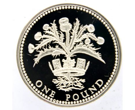 1984 Piedfort silver proof £1 coin of Elizabeth II, encapsulated, boxed with CoA. P&amp;P Group 1 (£14+VAT for the first lot 