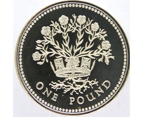 1983 Piedfort silver proof £1 coin of Elizabeth II, encapsulated, boxed with CoA. P&amp;P Group 1 (£14+VAT for the first lot 