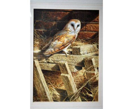 Michael (Mike) Jackson (b.1961), Barn Owl in Stable Interior, signed Gouache, dated 1994, 41.5cm by 30cm 