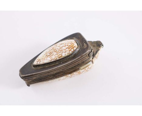 A GEORGE III MOUNTED NATURAL SHELL SNUFF BOX with reeded borders and small shell thumbpieces, unmarked;  2.5"  (6.5 cms) long