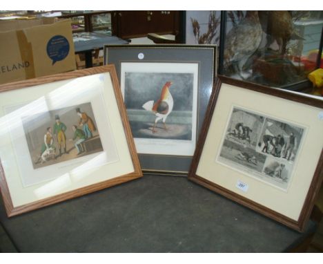 A Framed coloured print of a cockeral  " The Cheshire Pile ", a second " The match at the Badger" and 1 other. (3)