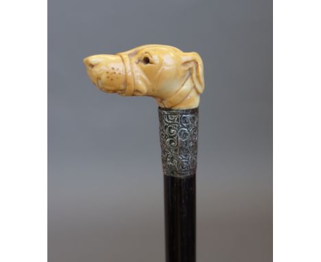 A Victorian ebonised cylindrical walking stick with carved ivory dog's head handle and a foliate embossed silver collar. (91c