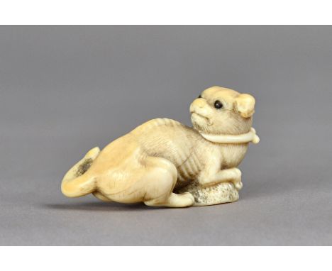 A Japanese ivory netsuke of a puppy Edo period, carved with front paws resting on an awabi shell, its head turned across its 