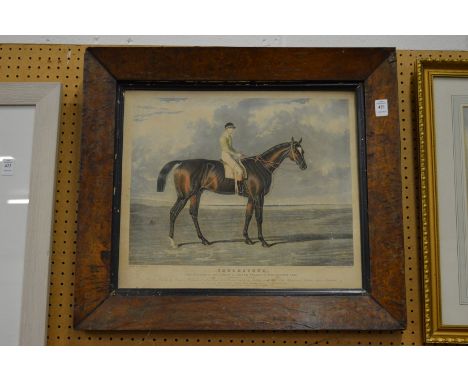 After Herring, Touchstone, the winner of the Great St Ledger Stakes at Doncaster, 1834, colour engraving.