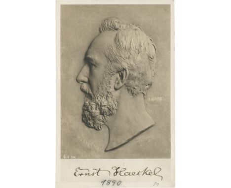 -- "der Bart mehr modellirt"-- Haeckel, Ernst, Zoologe und Philosoph, Professor in Jena, als Darwinist Begründer des "Monismu