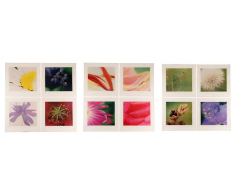 Lord Snowden An English Country Garden by Snowden and published by Esso Petroleum Company Limited. 12 images 40cmx40cm (with 