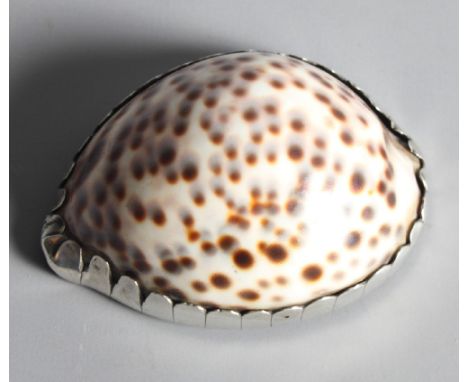 A 19th Century silver mounted cowrie shell snuff box, 3" wide