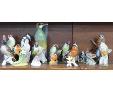 Fifteen models of birds including Mack Merlin and Kestrel, Rosenthal, Goebel chaffinch, etc. 