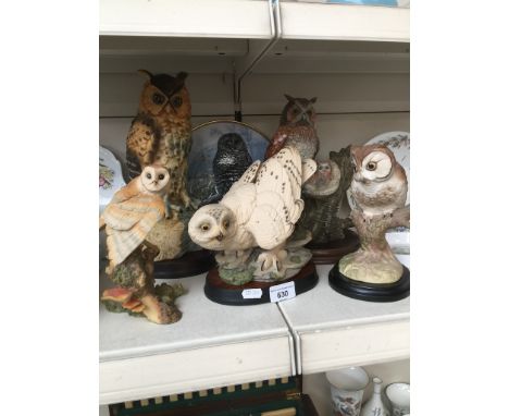 5 owl figures including Aynsley, with a limited edition Spode plate 