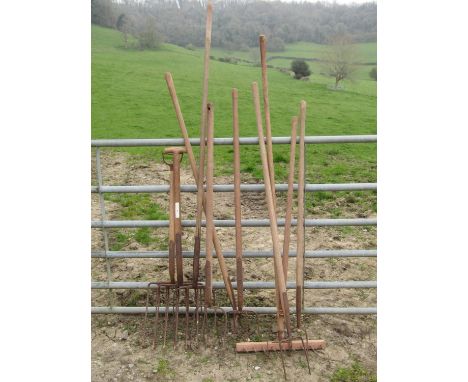 Ten vintage agricultural long wooden handled hand tools mainly forks, (af) 