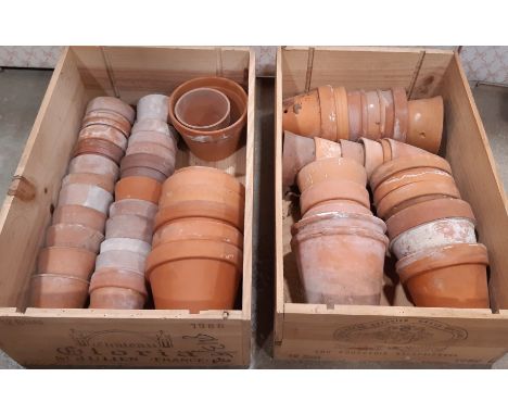 Fifty-five vintage terracotta flower pots housed within two wooden wine crates