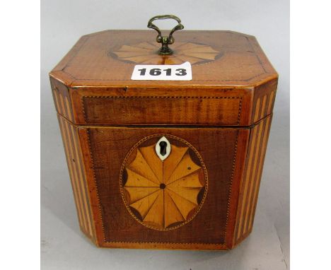 A Regency tea caddy with satin wood stringing and central fan inlay. 