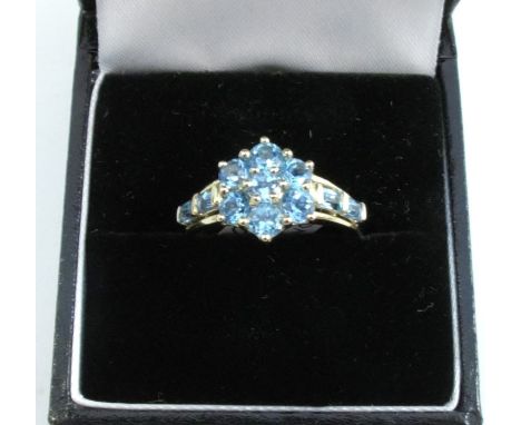 A 9 carat gold blue stone cluster ring, finger size N, 2.5g gross