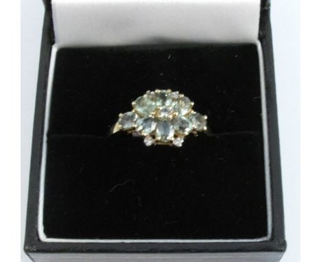 A 9 carat gold gem set cluster ring, finger size N 1/2, 2.5g gross