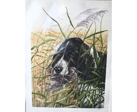 Leon Danchin (1887-1938), coloured print of cocker spaniel retrieving a woodcock