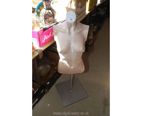 A plastic mannequin bust/torso.