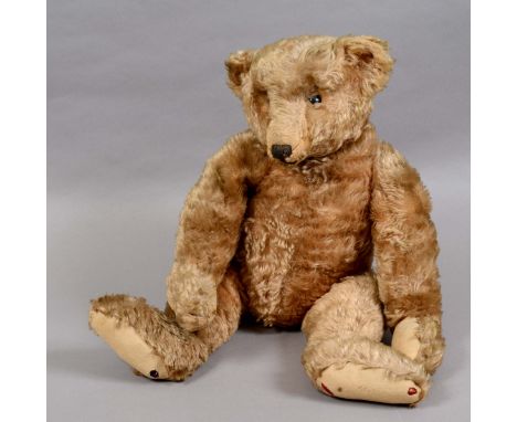 EARLY STEIFF TEDDY BEAR a large early Steiff Teddy Bear circa 1908, with elongated limbs, hump back and with black boot butto