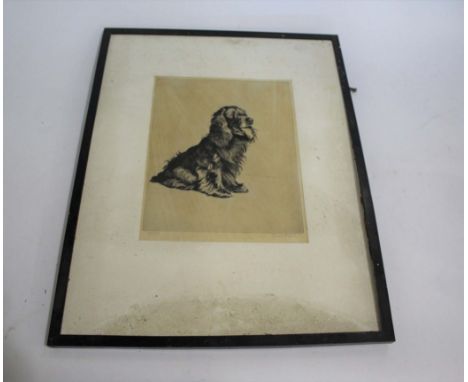 CECIL ALDIN (1870-1935) SIGNED ETCHING - 'A MOST POPULAR GENTLEMAN' an etching of a Spaniel, signed in the margin 99/100 and 