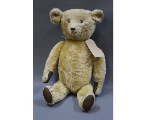 An early 20thC American teddy bear, having wood wool filled body, metal boot button eyes, and measuring 48cm tall
