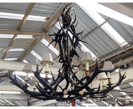 ANTHONY REDMILE STYLE RED DEER ANTLER CHANDELIER, 8 branch design, with shades, 150cm drop approx. 