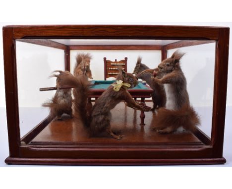 A glass cased Taxidermy scene of five Red Squirrels playing Billiards, the scene showing three squirrels at the Billiard tabl