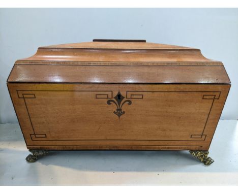 A 19th century satin wood tea caddy of sarcophagus form having brass ring handles and lion paw feet, 19cm h x 34.5cm wLocatio