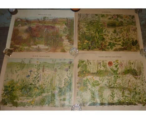 Bagatelle board, hockey and cricket pads, assorted flower posters etc