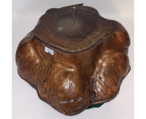 Vintage Wooden Display Tree Trunk Plinth with Brass Trim and Polished Hardwood Surface[H 20cm x W 44cm x L46cm]Age related cr