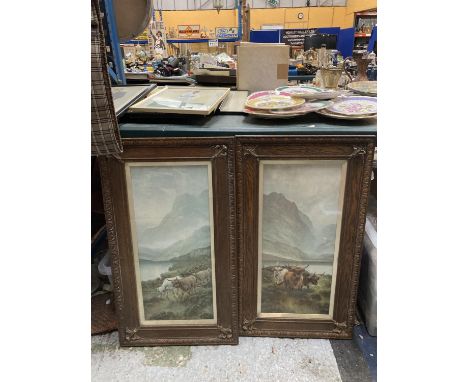 TWO PRINTS OF HIGHLAND CATTLE IN SCOTTISH SCENERY IN CARVED WOODEN FRAMES 42CM X 72CM 