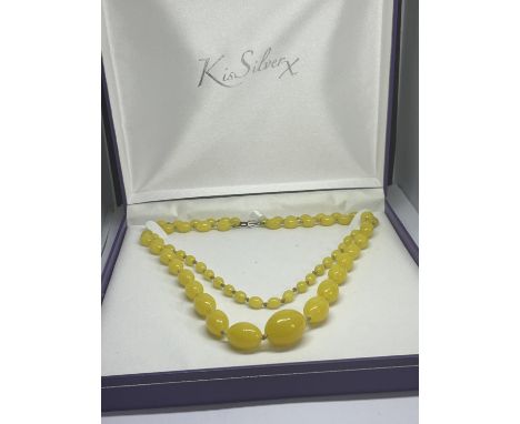 A VINTAGE DOUBLE STRAND BUTTERSCOTCH AMBER  NECKLACE IN A PRESENTATION BOX 