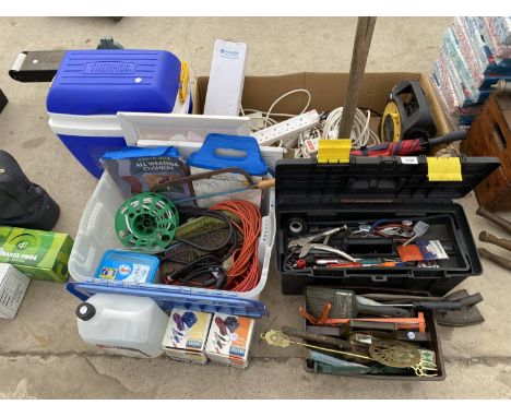 AN ASSORTMENT OF TOOLS TO INCLUDE A FLAT IRON, A TOASTING FORK AND MOLE GRIPS ETC 