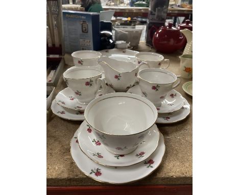 A COLCLOUGH CHINA TEASET WITH A ROSE PATTERN TO INCLUDE A CAKE PLATE, CUPS, SAUCERS, SIDE PLATES, SUGAR BOWL AND CREAM JUG 