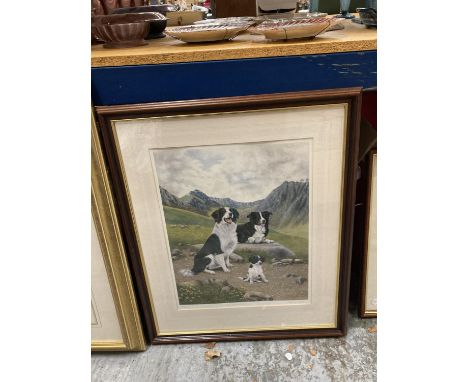 A SIGNED LIMITED EDITION PRINT OF THREE COLLIE DOGS TITLED 'THE APPRENTICE' 60/850 SIGNED VAL C WEST IN A WOODEN FRAME 