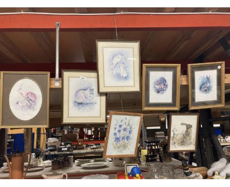 A QUANTITY OF FRAMED ANIMAL PRINTS TO INCLUDE RABBITS, MICE, A FOX, ETC 