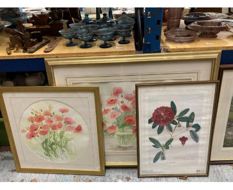 TWO GILT FRAMED WATERCOLOURS OF POPPIES, SIGNED PLUS A SIGNED FRAMED PRINT OF RHODODENDRON ELLIOTTI 
